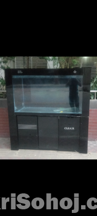 Fish aquarium